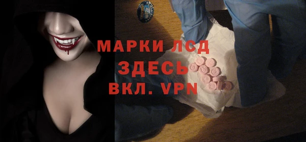 ECSTASY Лагань