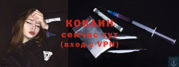 ECSTASY Лагань
