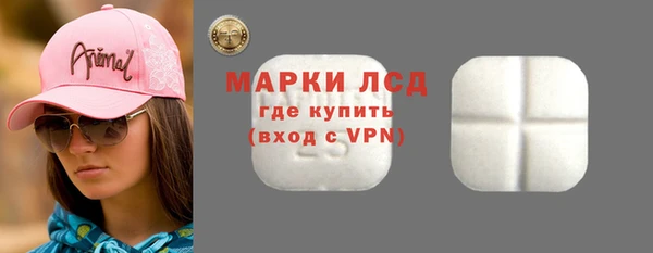 ECSTASY Лагань