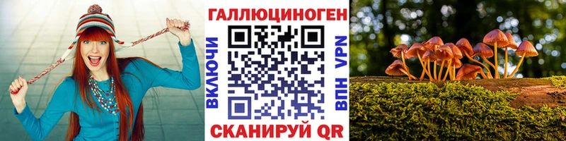 Псилоцибиновые грибы прущие грибы  Купить  Дно 