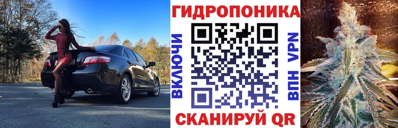 Купить  Дно  Бошки Шишки семена 